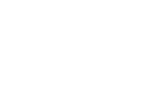 Logo - Dosa Plaza - Botany Junction