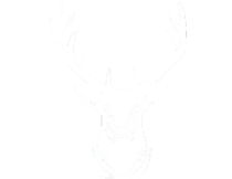 Logo - Wild Flavours Pizza & Burgers - Rosedale